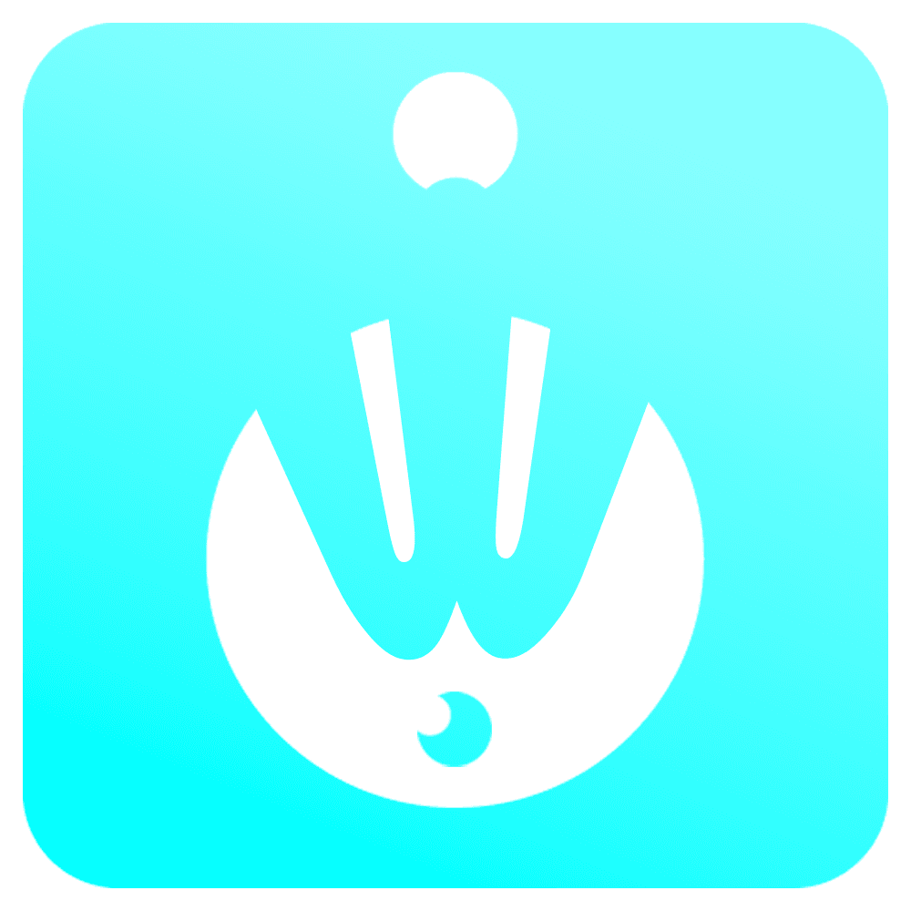 WowFi Logo